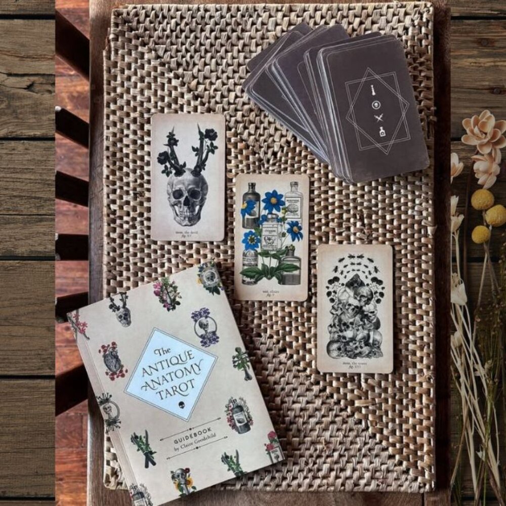 Antique Anatomy Tarot Deck | 78-Card Tarot with Guidebook | Gift Ready - Picture 15 of 16